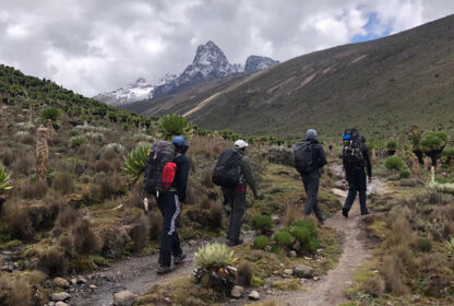 Conquering the Heights, a Comprehensive Guide to Preparing for Your Mount Kenya Hike (Second Highest Mountain in Africa)